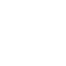 truck-icon